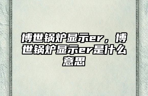博世鍋爐顯示er，博世鍋爐顯示er是什么意思