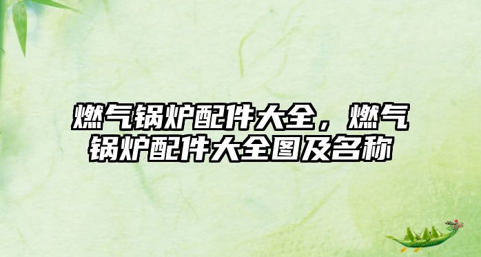 燃?xì)忮仩t配件大全，燃?xì)忮仩t配件大全圖及名稱