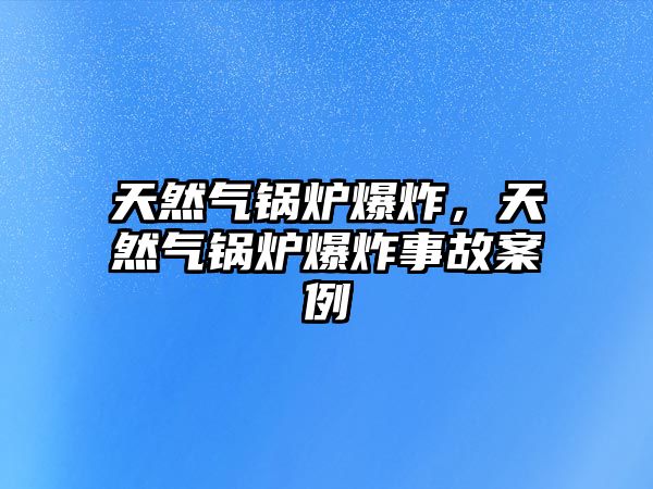 天然氣鍋爐爆炸，天然氣鍋爐爆炸事故案例