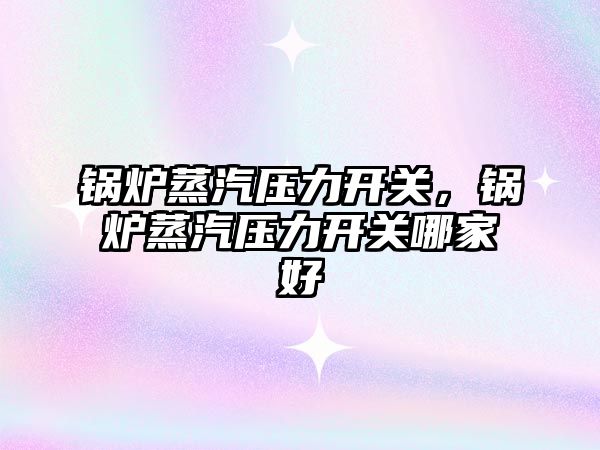 鍋爐蒸汽壓力開(kāi)關(guān)，鍋爐蒸汽壓力開(kāi)關(guān)哪家好