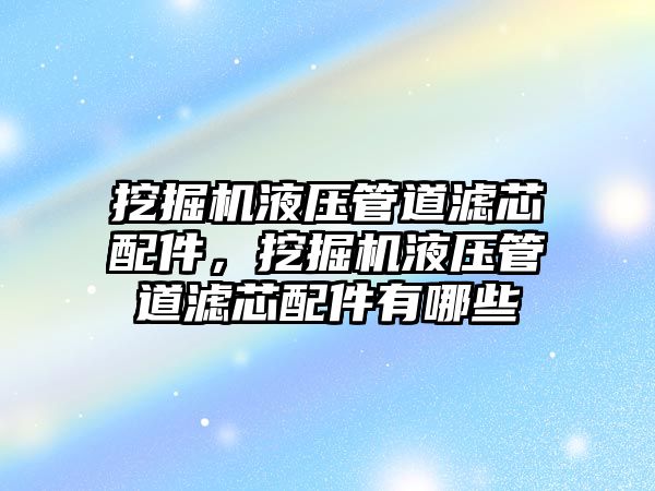 挖掘機液壓管道濾芯配件，挖掘機液壓管道濾芯配件有哪些