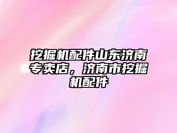 挖掘機(jī)配件山東濟(jì)南專賣店，濟(jì)南市挖掘機(jī)配件