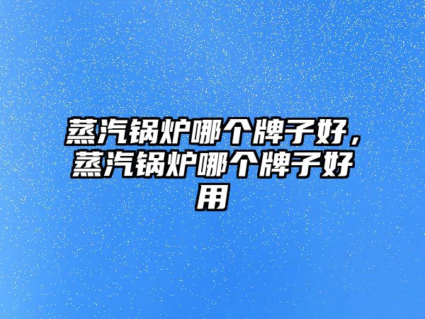 蒸汽鍋爐哪個牌子好，蒸汽鍋爐哪個牌子好用