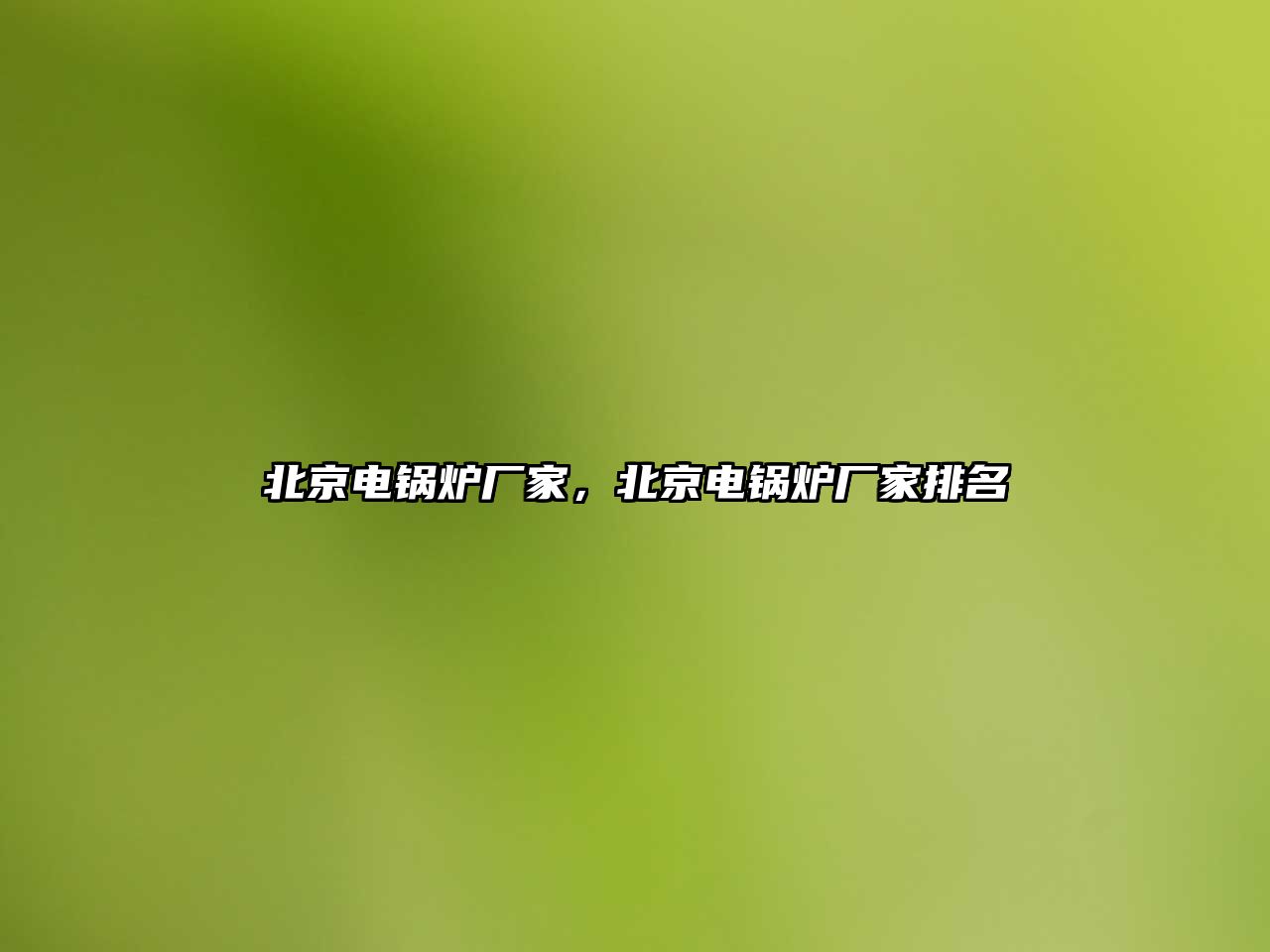 北京電鍋爐廠家，北京電鍋爐廠家排名