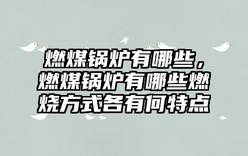 燃煤鍋爐有哪些，燃煤鍋爐有哪些燃燒方式各有何特點