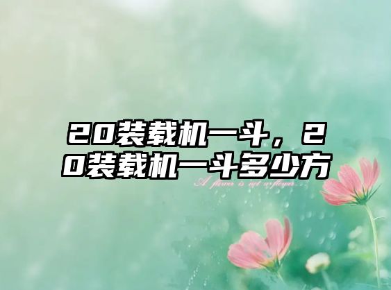 20裝載機一斗，20裝載機一斗多少方