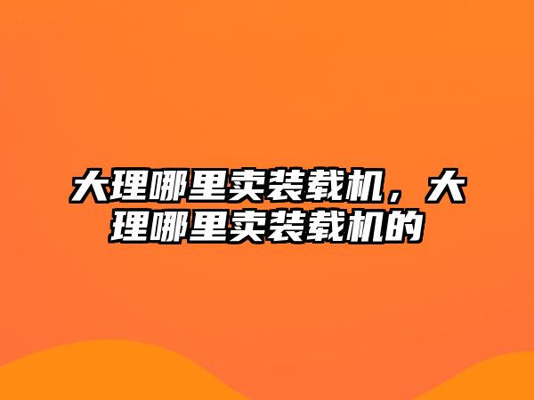 大理哪里賣裝載機，大理哪里賣裝載機的