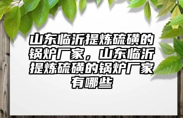 山東臨沂提煉硫磺的鍋爐廠家，山東臨沂提煉硫磺的鍋爐廠家有哪些
