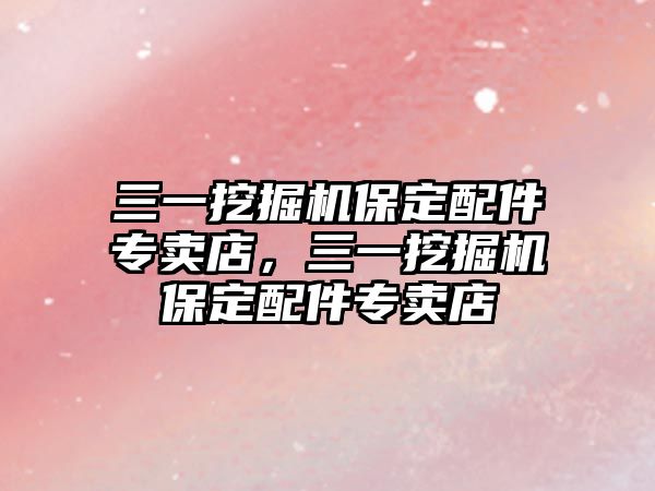 三一挖掘機(jī)保定配件專賣(mài)店，三一挖掘機(jī)保定配件專賣(mài)店