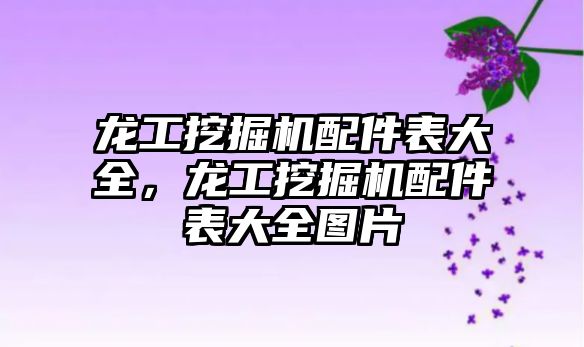 龍工挖掘機(jī)配件表大全，龍工挖掘機(jī)配件表大全圖片