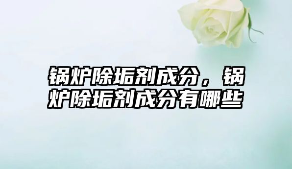 鍋爐除垢劑成分，鍋爐除垢劑成分有哪些
