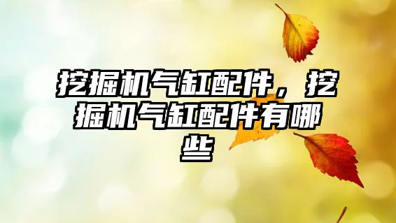 挖掘機(jī)氣缸配件，挖掘機(jī)氣缸配件有哪些