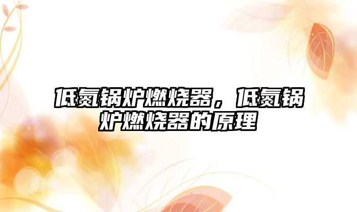 低氮鍋爐燃燒器，低氮鍋爐燃燒器的原理