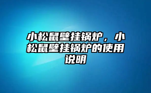 小松鼠壁掛鍋爐，小松鼠壁掛鍋爐的使用說明