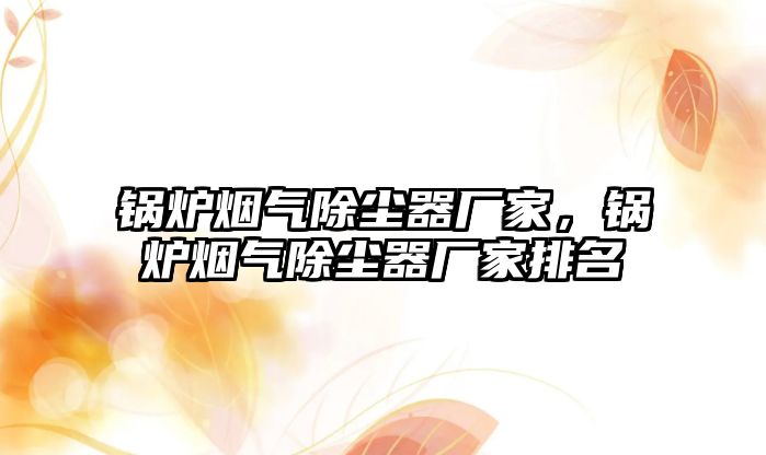 鍋爐煙氣除塵器廠家，鍋爐煙氣除塵器廠家排名