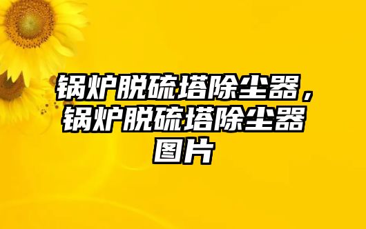 鍋爐脫硫塔除塵器，鍋爐脫硫塔除塵器圖片
