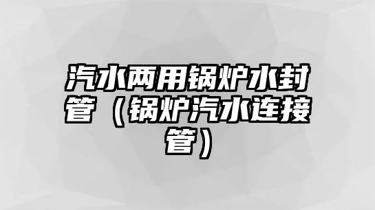 汽水兩用鍋爐水封管（鍋爐汽水連接管）