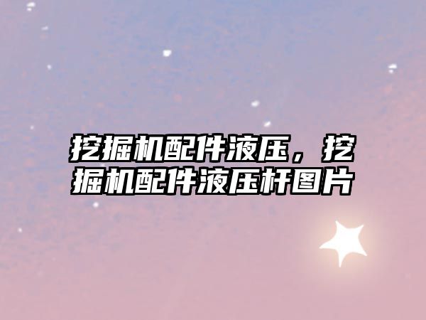 挖掘機配件液壓，挖掘機配件液壓桿圖片