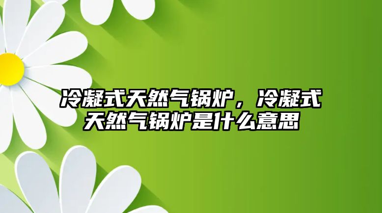 冷凝式天然氣鍋爐，冷凝式天然氣鍋爐是什么意思