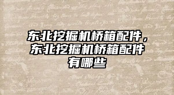 東北挖掘機橋箱配件，東北挖掘機橋箱配件有哪些