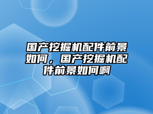 國(guó)產(chǎn)挖掘機(jī)配件前景如何，國(guó)產(chǎn)挖掘機(jī)配件前景如何啊