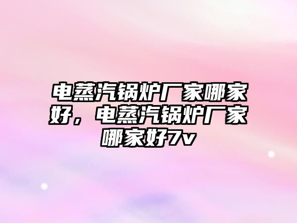 電蒸汽鍋爐廠家哪家好，電蒸汽鍋爐廠家哪家好7v
