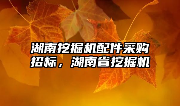 湖南挖掘機(jī)配件采購(gòu)招標(biāo)，湖南省挖掘機(jī)