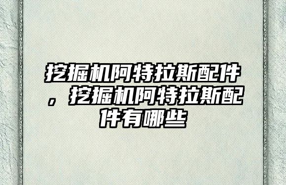 挖掘機(jī)阿特拉斯配件，挖掘機(jī)阿特拉斯配件有哪些