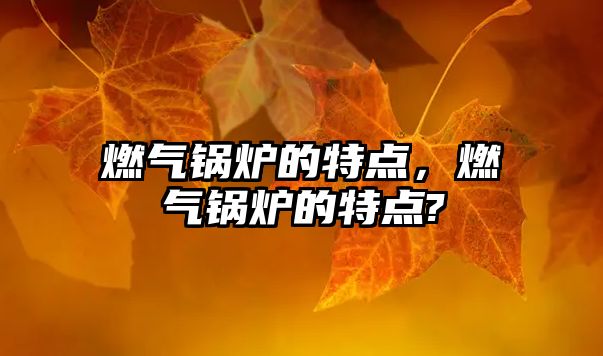 燃?xì)忮仩t的特點(diǎn)，燃?xì)忮仩t的特點(diǎn)?