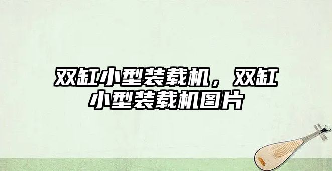 雙缸小型裝載機(jī)，雙缸小型裝載機(jī)圖片