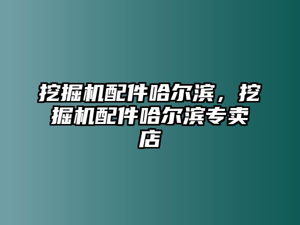 挖掘機配件哈爾濱，挖掘機配件哈爾濱專賣店