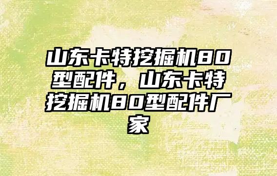 山東卡特挖掘機(jī)80型配件，山東卡特挖掘機(jī)80型配件廠家