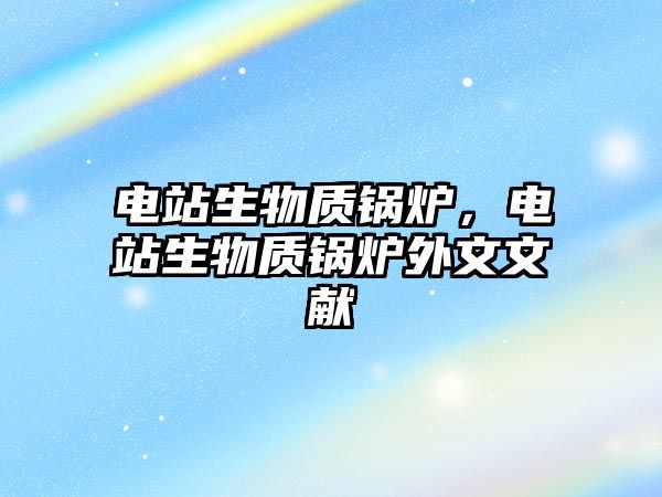 電站生物質(zhì)鍋爐，電站生物質(zhì)鍋爐外文文獻(xiàn)