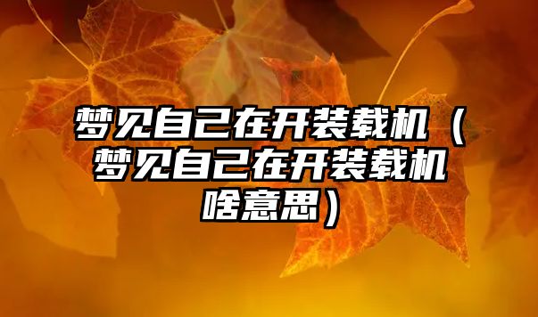 夢見自己在開裝載機(jī)（夢見自己在開裝載機(jī)啥意思）