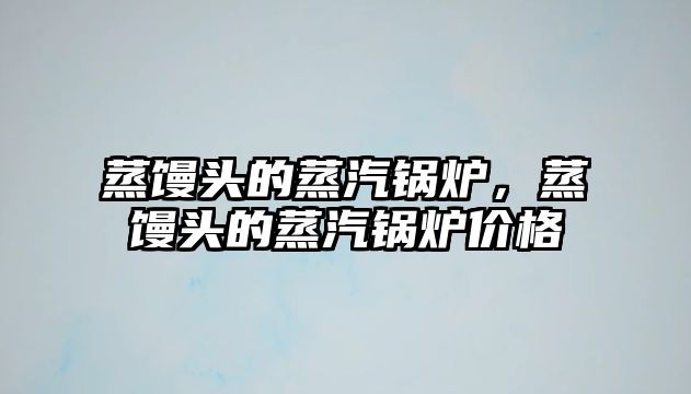 蒸饅頭的蒸汽鍋爐，蒸饅頭的蒸汽鍋爐價(jià)格