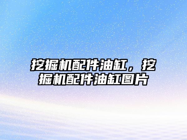 挖掘機(jī)配件油缸，挖掘機(jī)配件油缸圖片