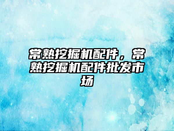 常熟挖掘機配件，常熟挖掘機配件批發(fā)市場