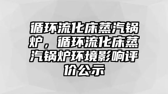 循環(huán)流化床蒸汽鍋爐，循環(huán)流化床蒸汽鍋爐環(huán)境影響評(píng)價(jià)公示