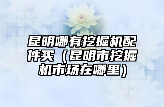 昆明哪有挖掘機(jī)配件買（昆明市挖掘機(jī)市場(chǎng)在哪里）
