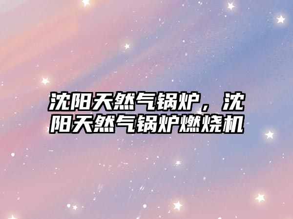 沈陽天然氣鍋爐，沈陽天然氣鍋爐燃燒機