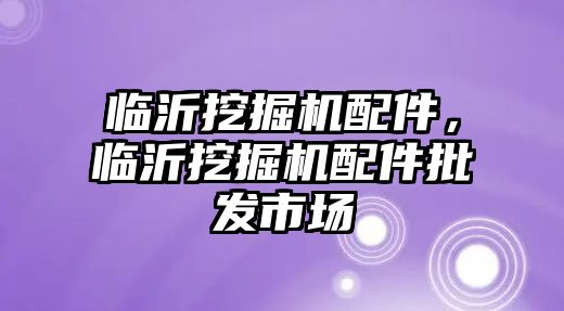 臨沂挖掘機(jī)配件，臨沂挖掘機(jī)配件批發(fā)市場(chǎng)