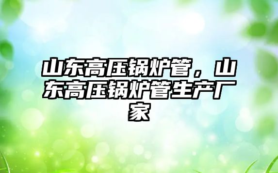山東高壓鍋爐管，山東高壓鍋爐管生產(chǎn)廠家