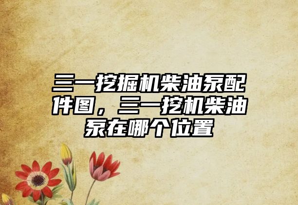 三一挖掘機(jī)柴油泵配件圖，三一挖機(jī)柴油泵在哪個(gè)位置