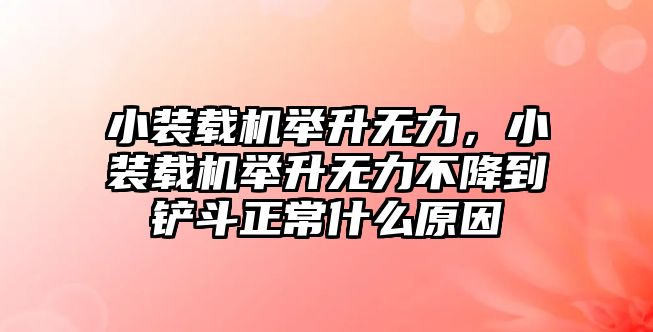 小裝載機(jī)舉升無(wú)力，小裝載機(jī)舉升無(wú)力不降到鏟斗正常什么原因