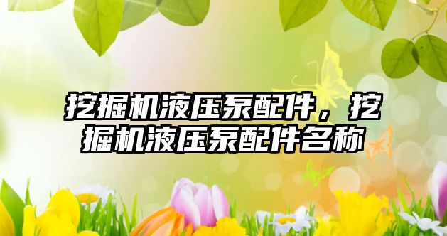 挖掘機液壓泵配件，挖掘機液壓泵配件名稱