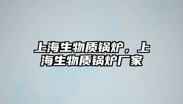 上海生物質(zhì)鍋爐，上海生物質(zhì)鍋爐廠家