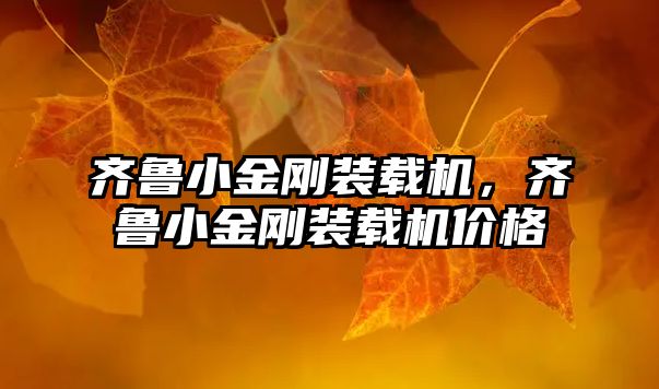 齊魯小金剛裝載機，齊魯小金剛裝載機價格