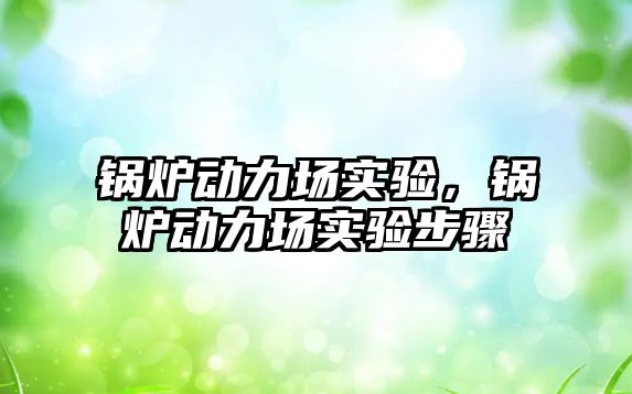 鍋爐動(dòng)力場(chǎng)實(shí)驗(yàn)，鍋爐動(dòng)力場(chǎng)實(shí)驗(yàn)步驟