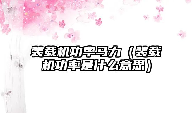 裝載機(jī)功率馬力（裝載機(jī)功率是什么意思）
