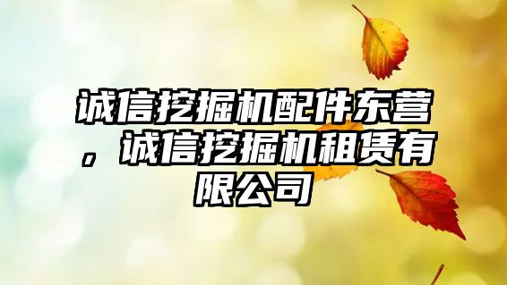 誠信挖掘機(jī)配件東營，誠信挖掘機(jī)租賃有限公司